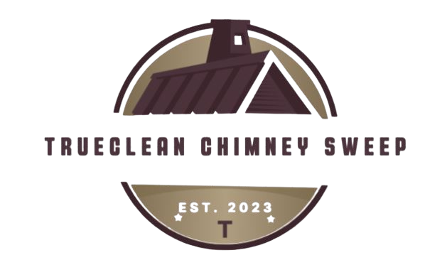 logo website